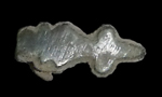 Stylized arrow leather ornament from 18AN339 Java site.